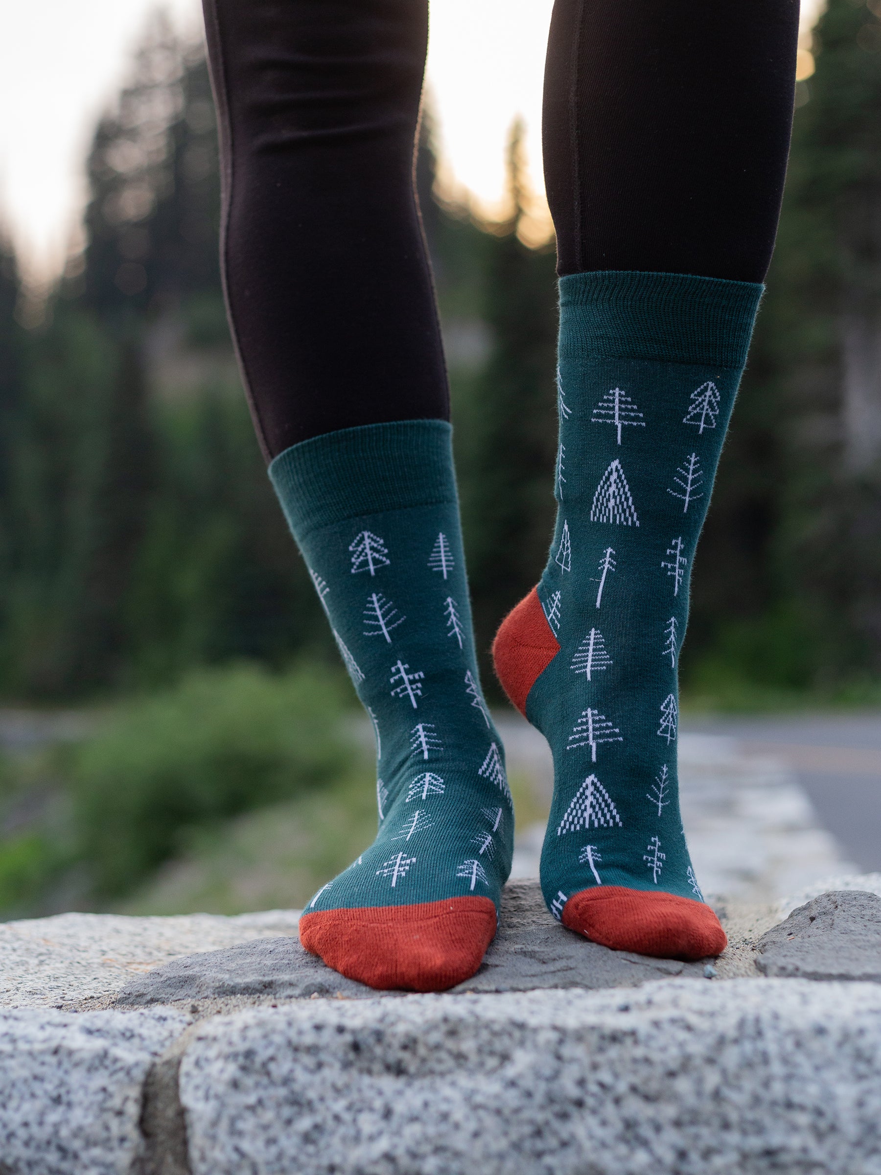 Arboretum Socks-Organic Socks-Happy Earth