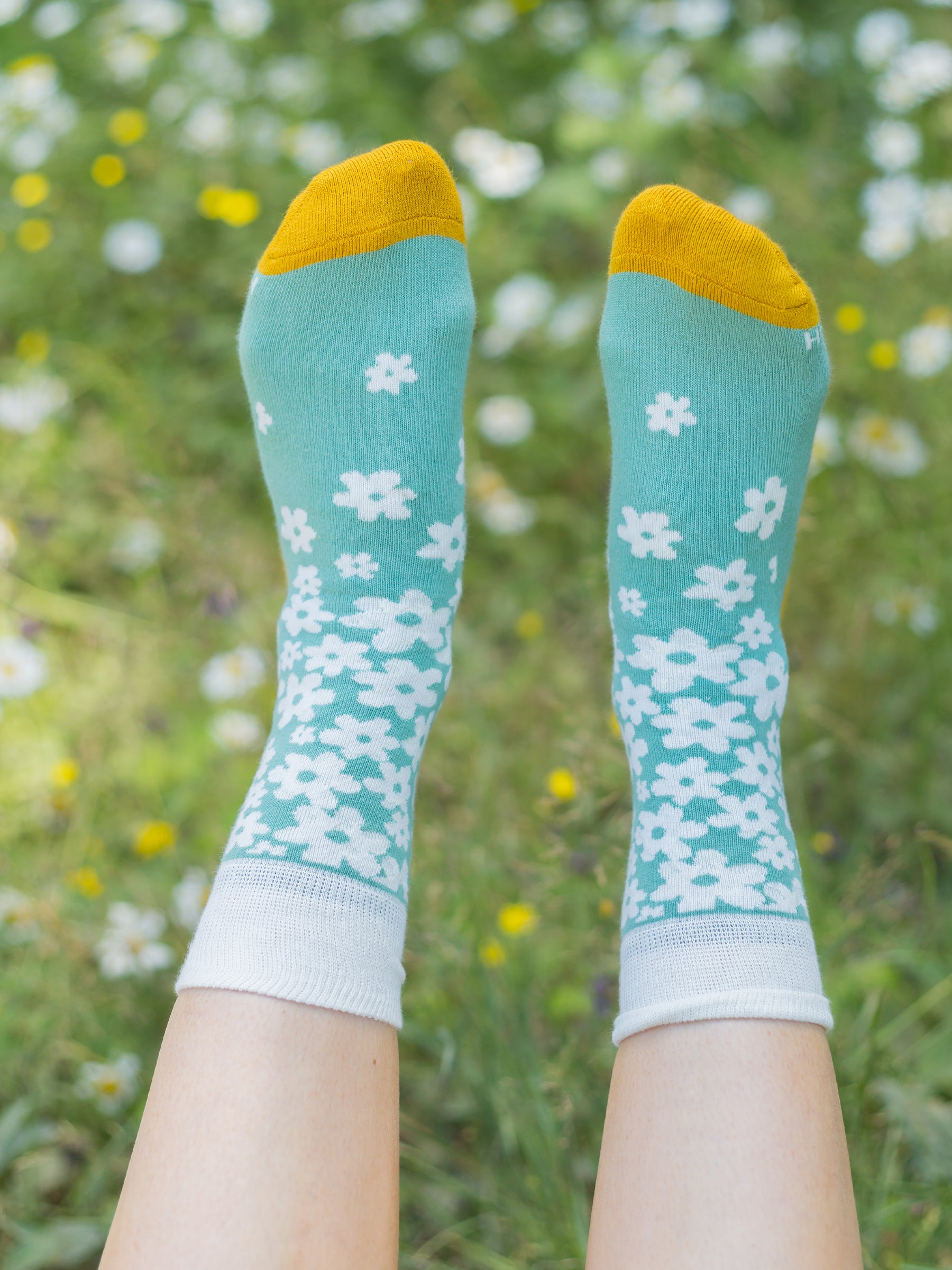 Sunshine Socks - Set of 3-Organic Socks-Happy Earth