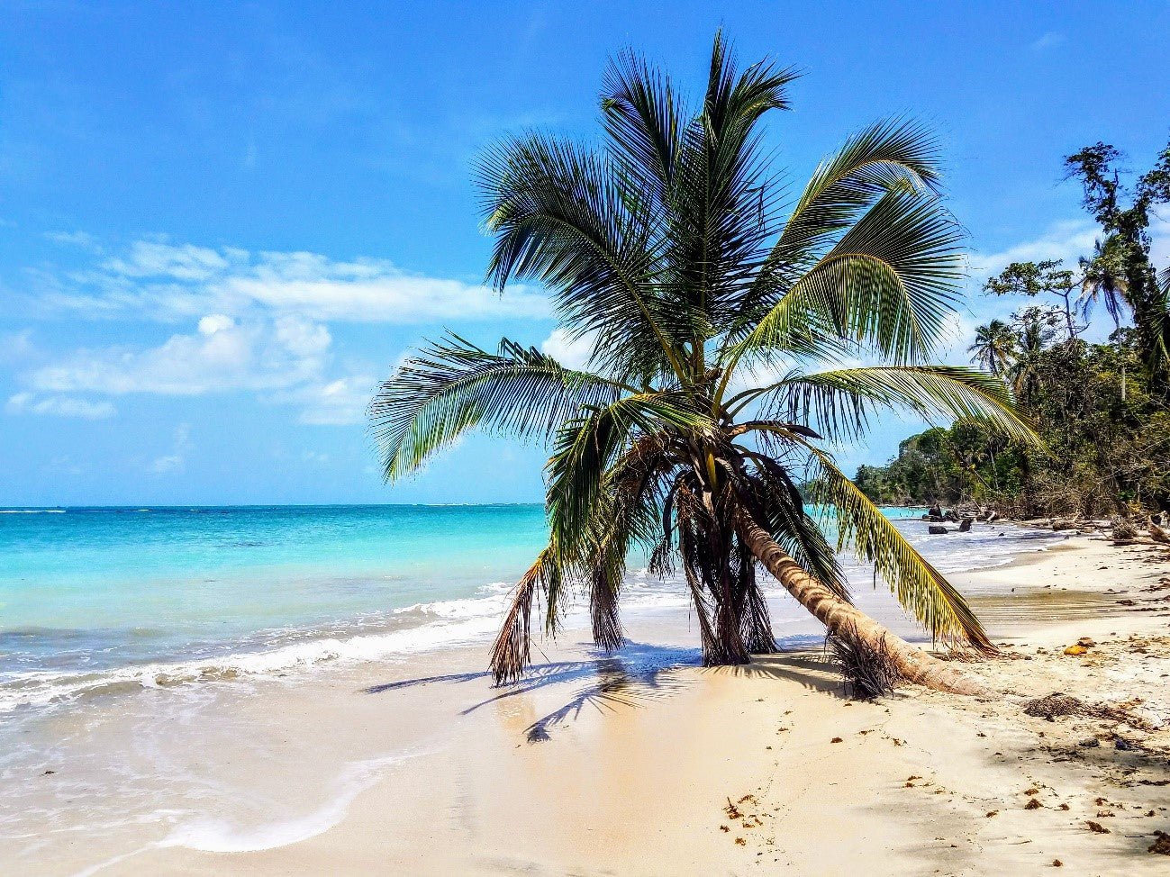 Costa Rica: The Happiest Country in the World - Happy Earth®