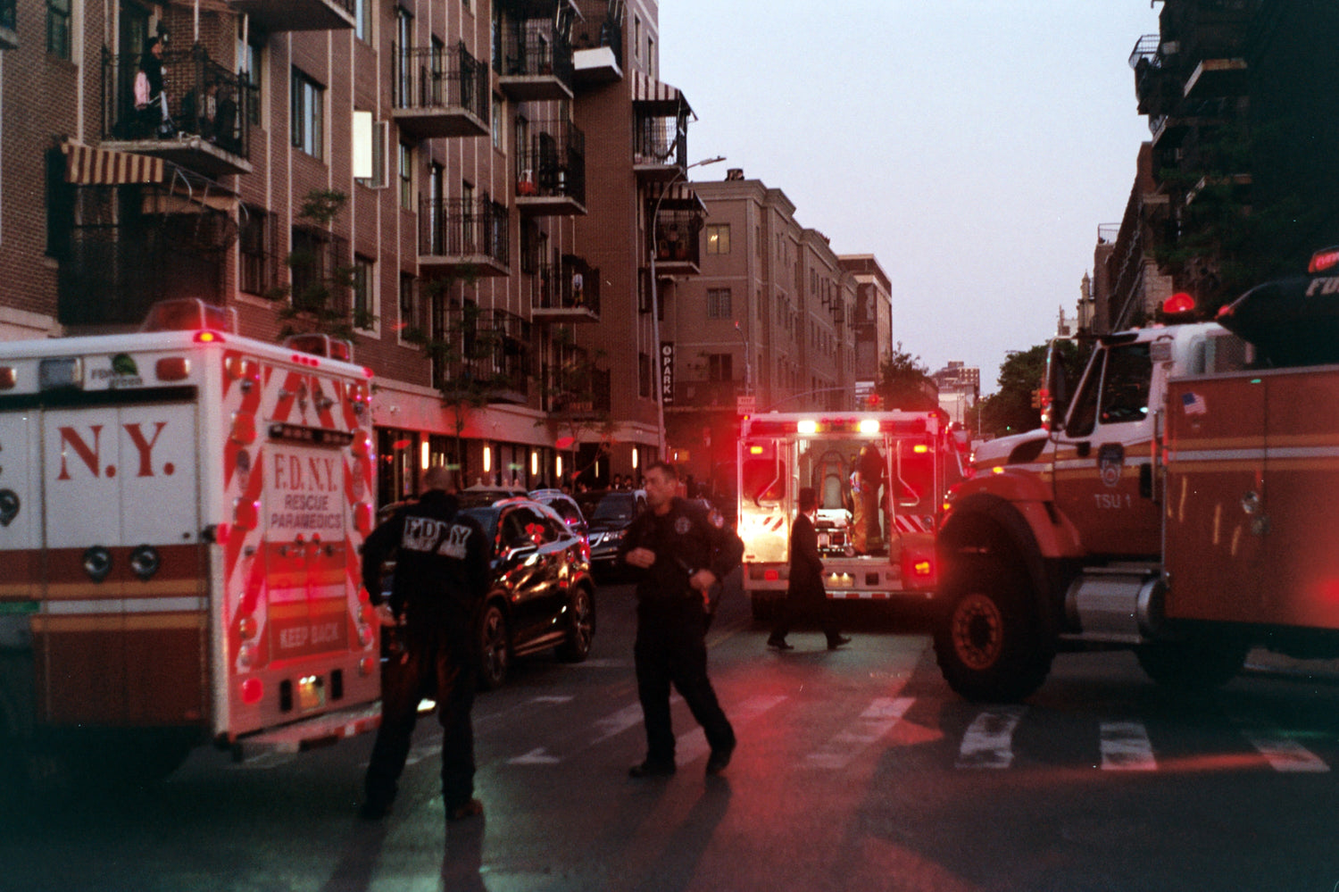 Gun Violence and Environmentalism