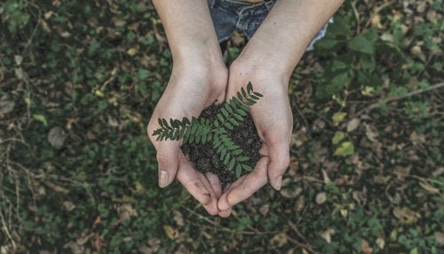 Living Conscientiously During the Holocene Extinction - Happy Earth®