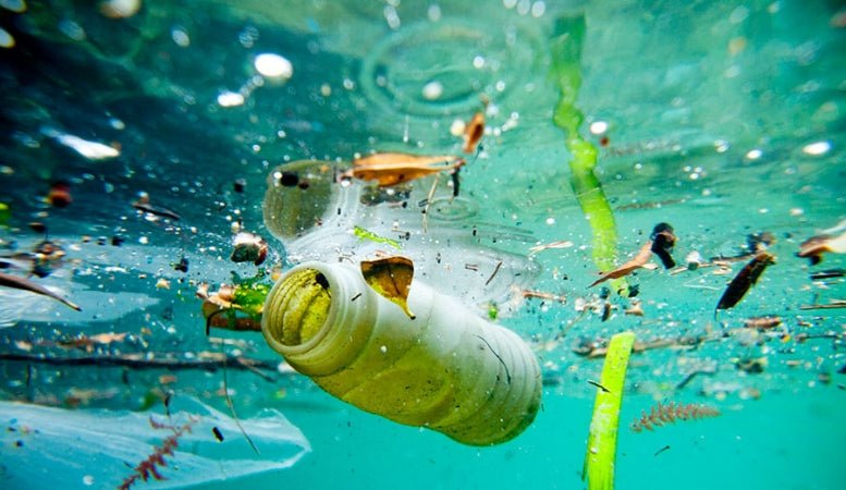 Ocean Pollution - Happy Earth®