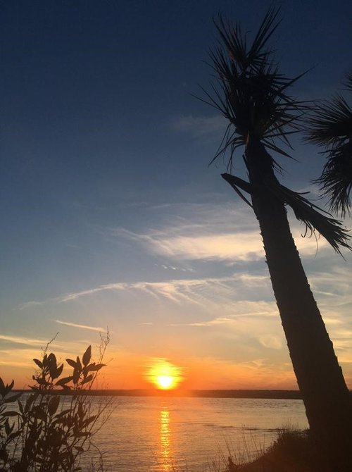 Trail Maintenance and Conservation on Cumberland Island, Georgia - Happy Earth®