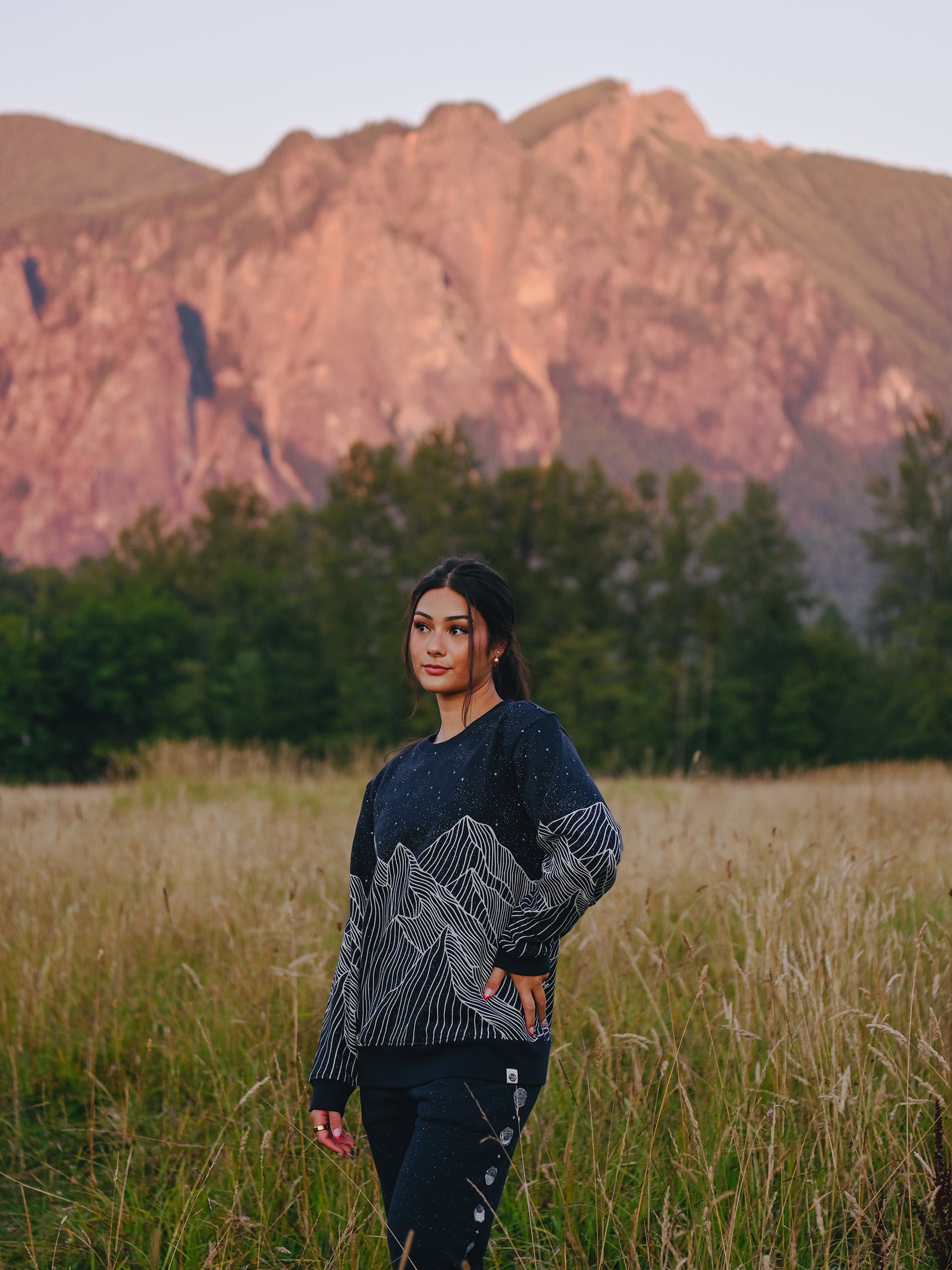 Alpine Etching Pullover