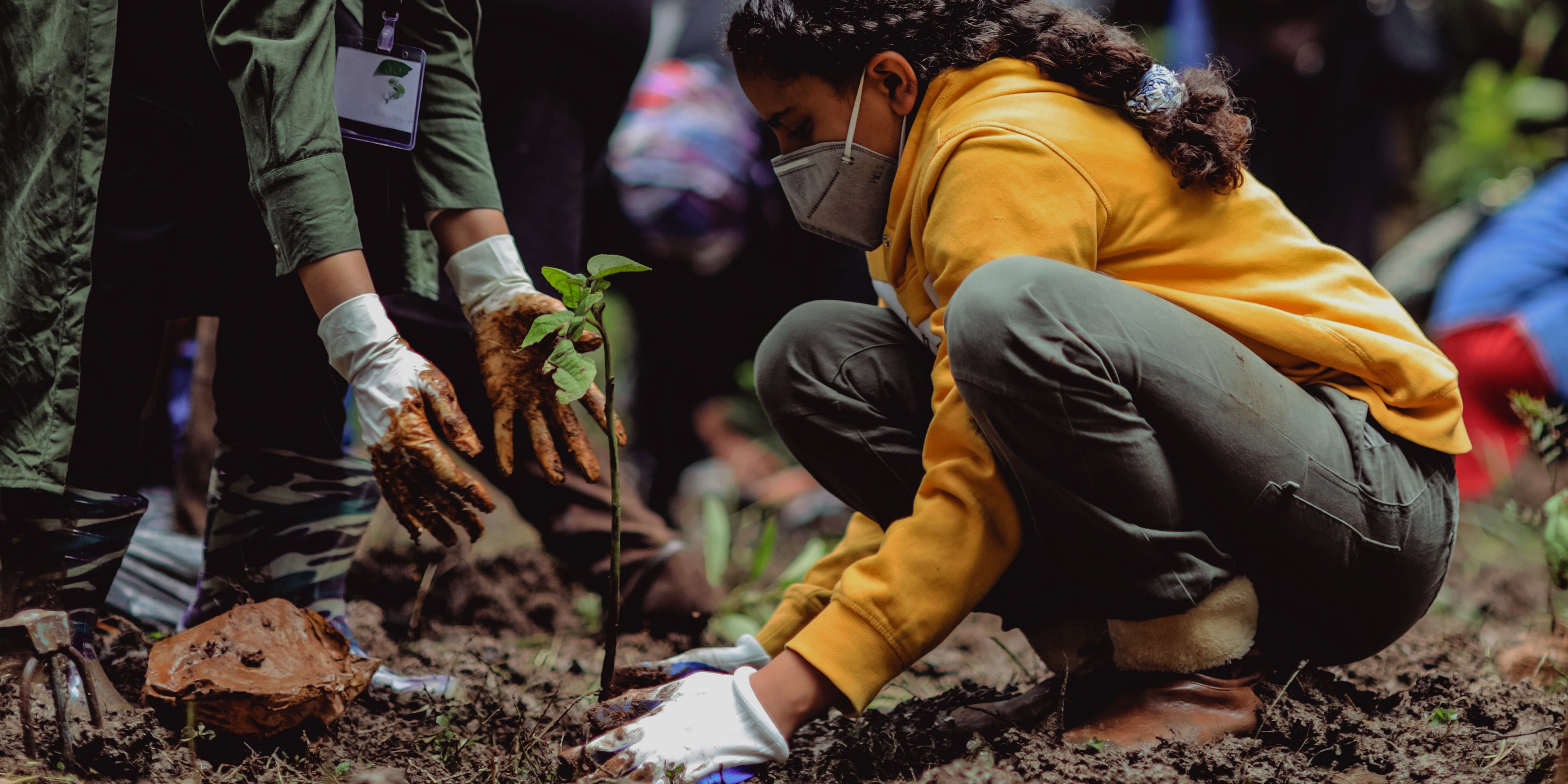 Planting Trees