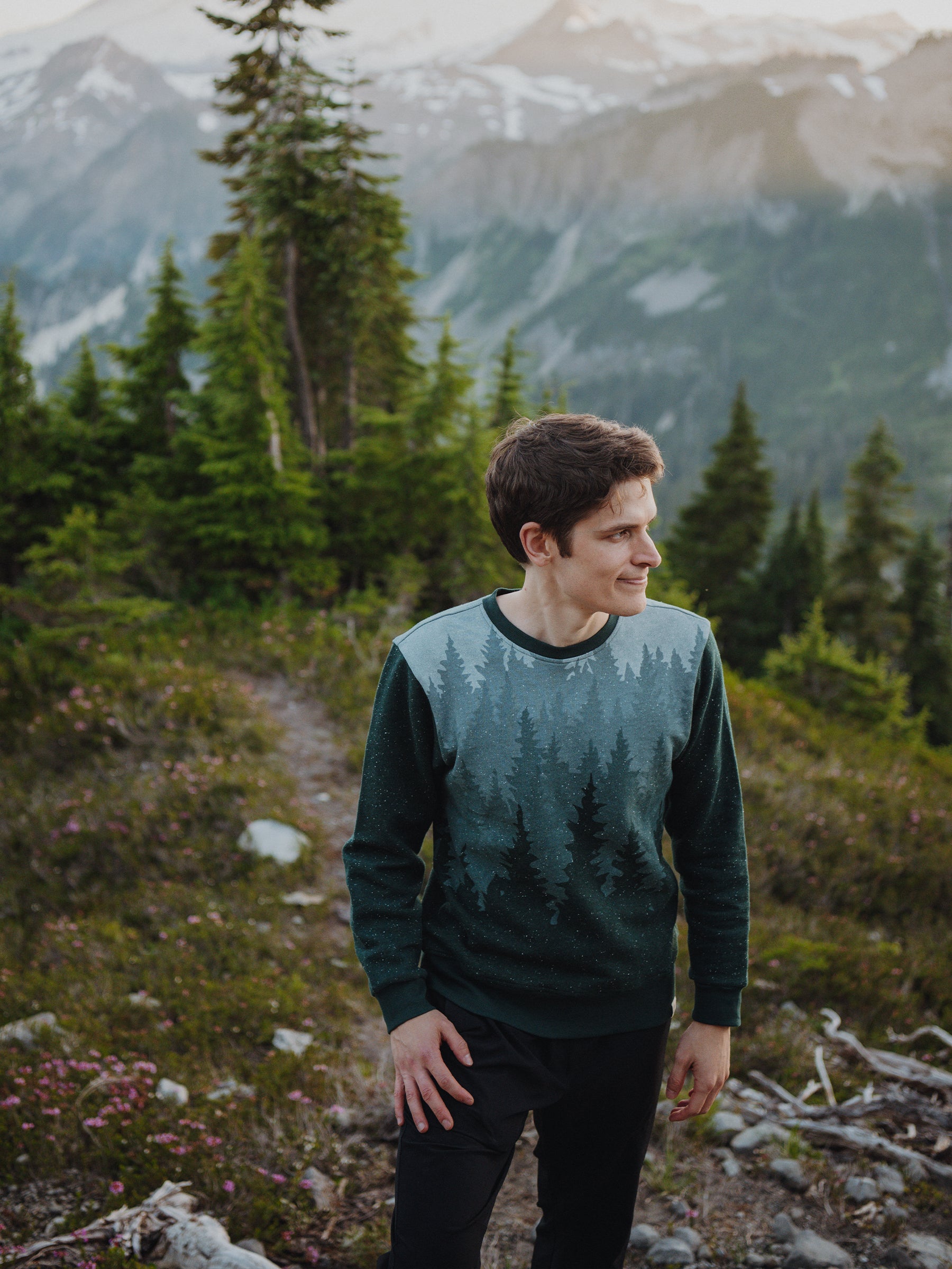 Misty Forest Pullover