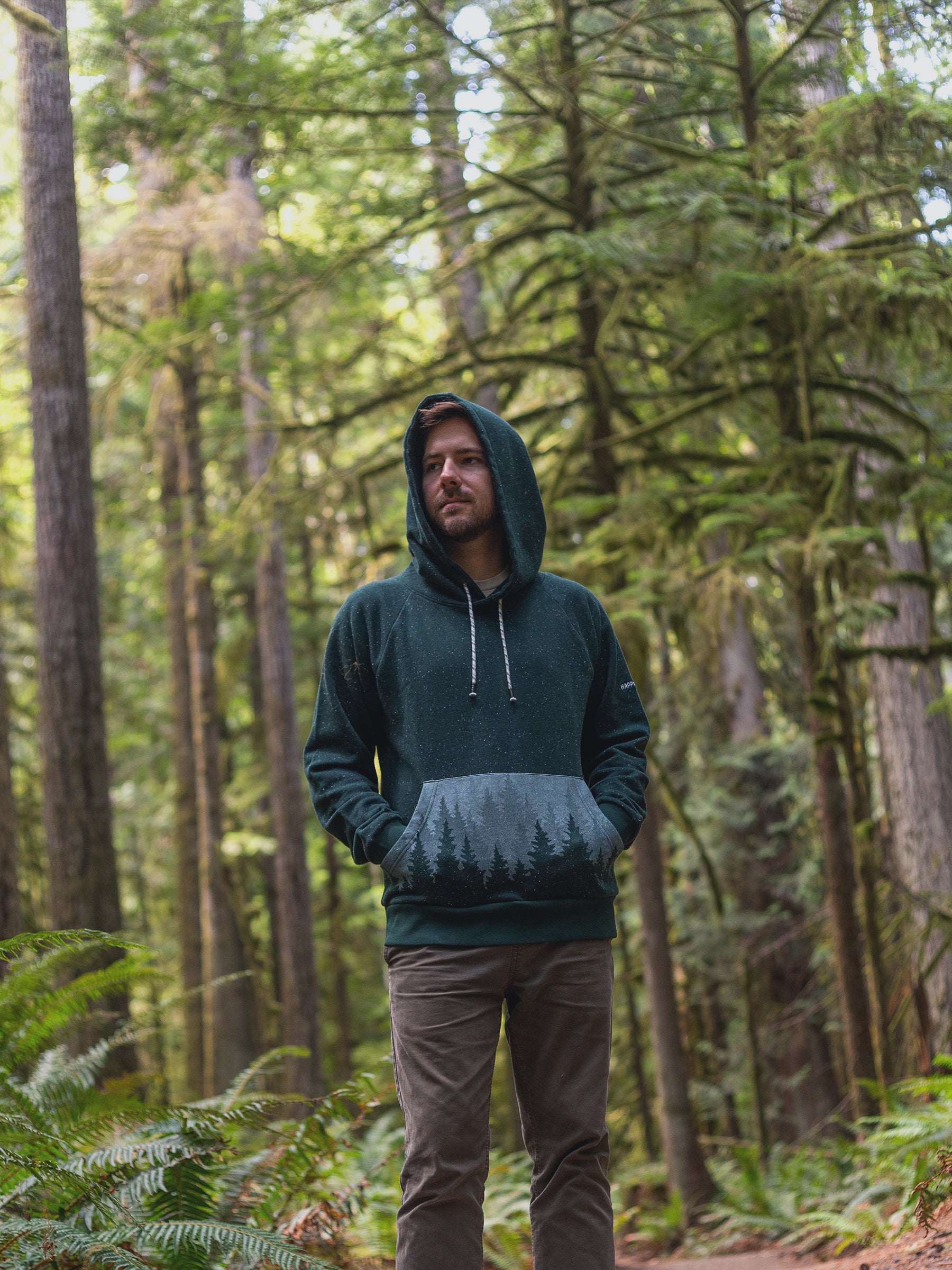 Misty Forest Hoodie