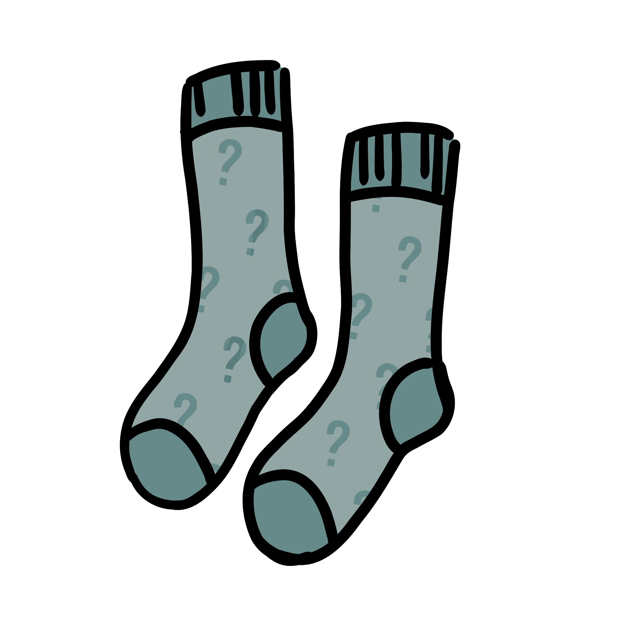 Mystery Socks