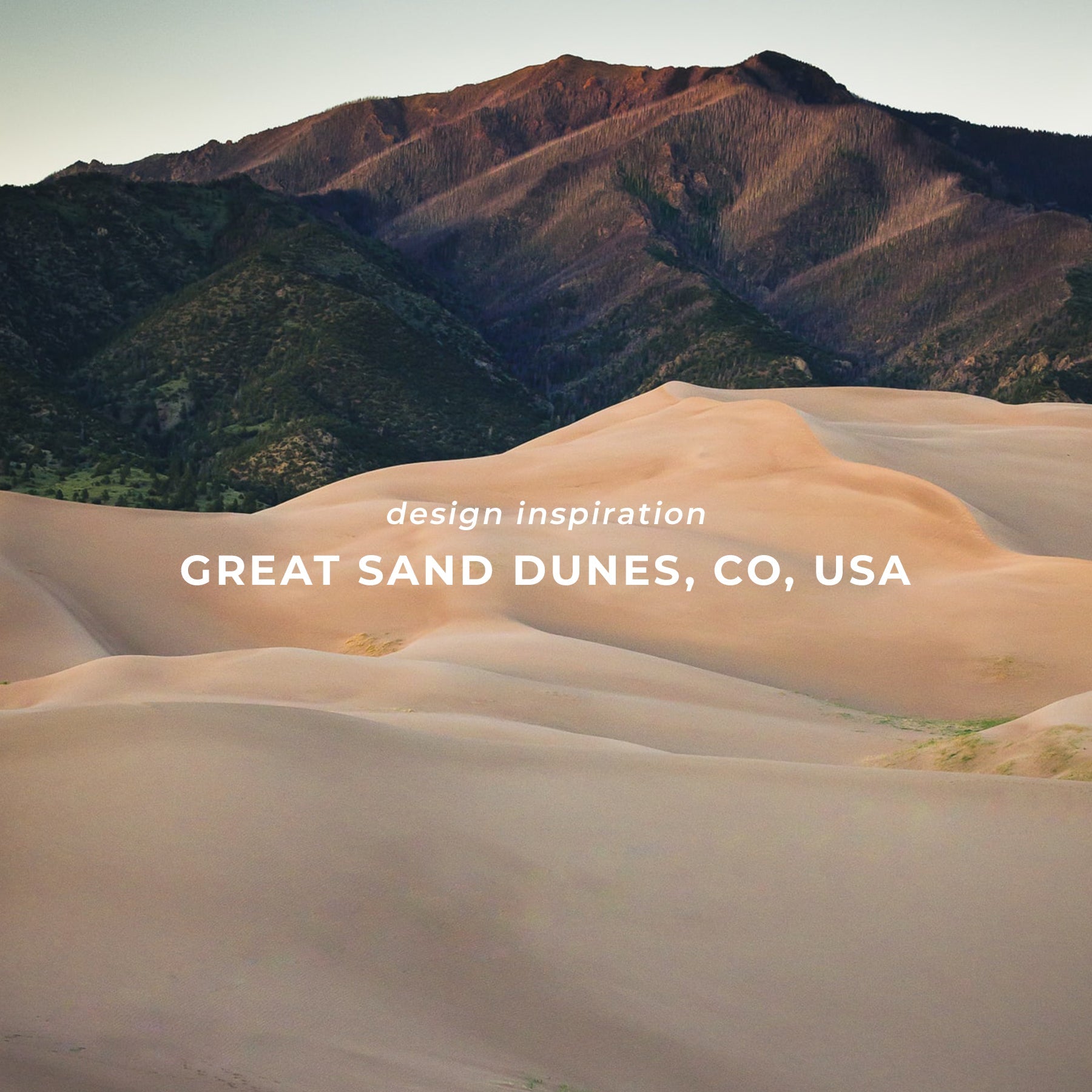 Sand Dune Sunrise Organic Long Sleeve Tee - Happy Earth Apparel
